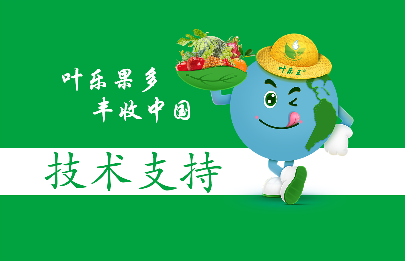 技(jì)術(shù)支持